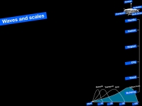 "Waves" in time and "scales" in space.