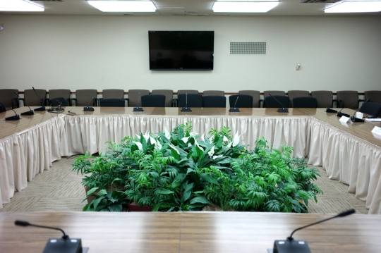 This was the most handsome patch of trapped plants I saw at the State Dept.