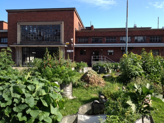 Tukkutori's edible garden is blooming very well in a series of grow bags. This will a great addition to Kalasatama when it's finished later this year.