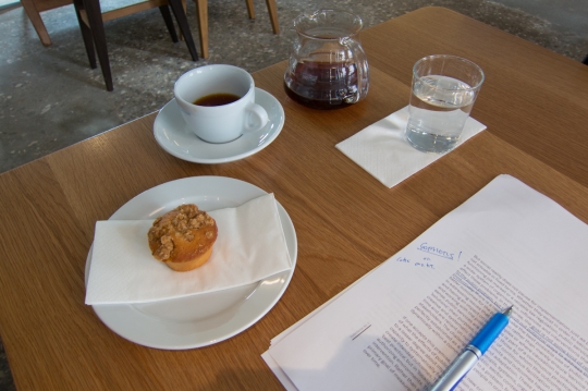 Hurried writing at one of Copenhagen's nicer cafes the morning of the Mindlab session
