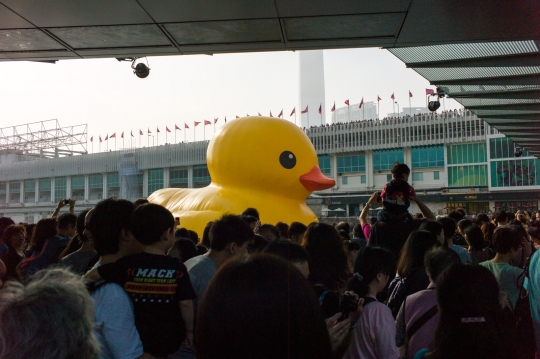 Hong Kong is currently in love with <a href="http://online.wsj.com/article/SB10001424127887323716304578482032215544650.html">a giant rubber ducky</a>.